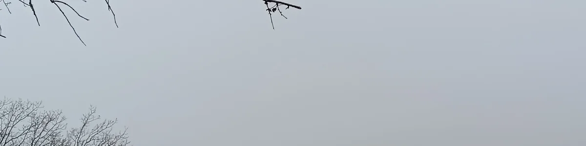 y2083377 banner