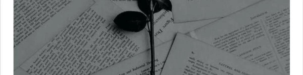 aliasingsome banner