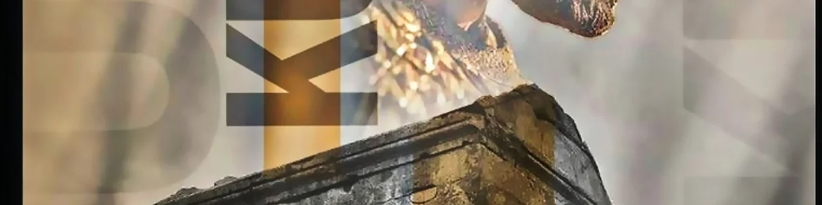 user_2887 banner