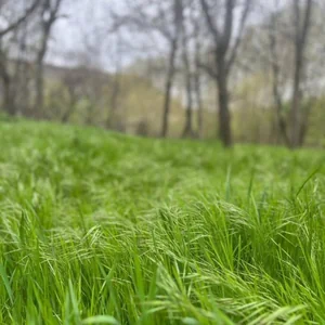 تصویر پروفایل user_8296